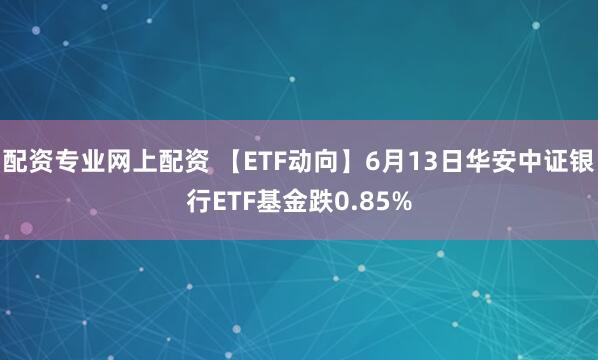 配资专业网上配资 【ETF动向】6月13日华安中证银行ETF基金跌0.85%