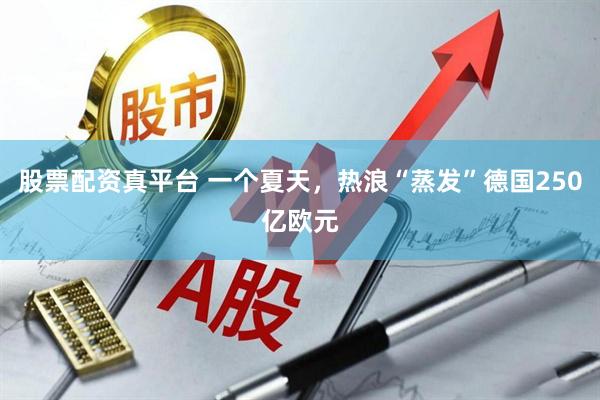 股票配资真平台 一个夏天，热浪“蒸发”德国250亿欧元
